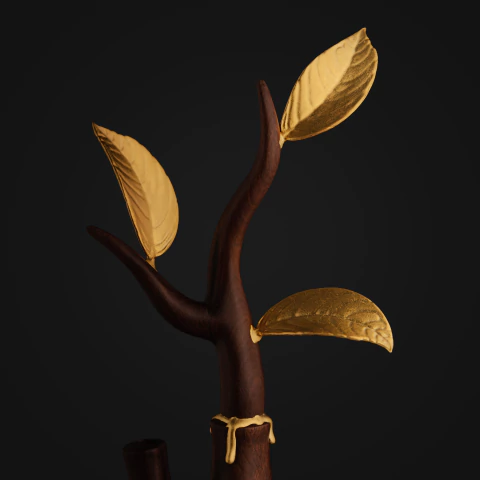 FLORESCER - Imagem 5